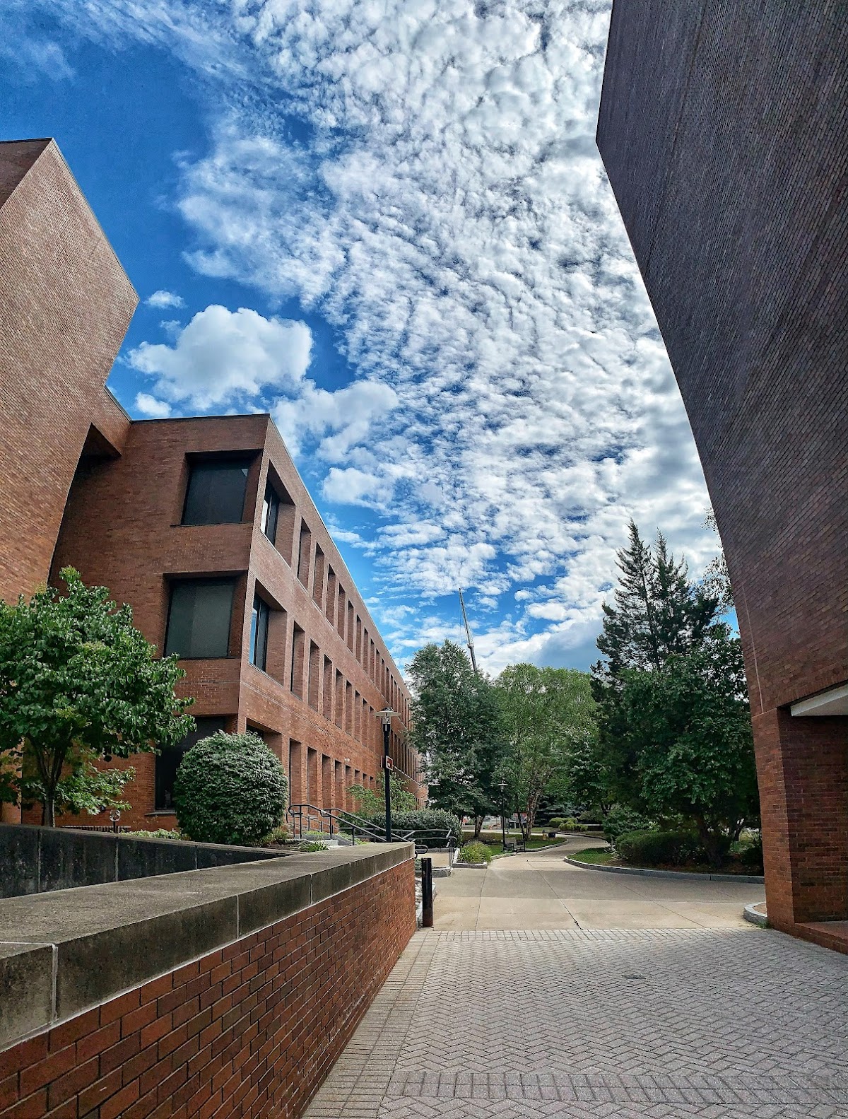 RIT photo 7