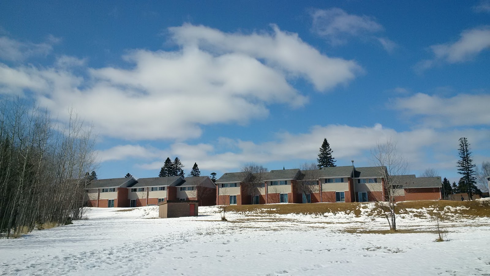 Lakehead University