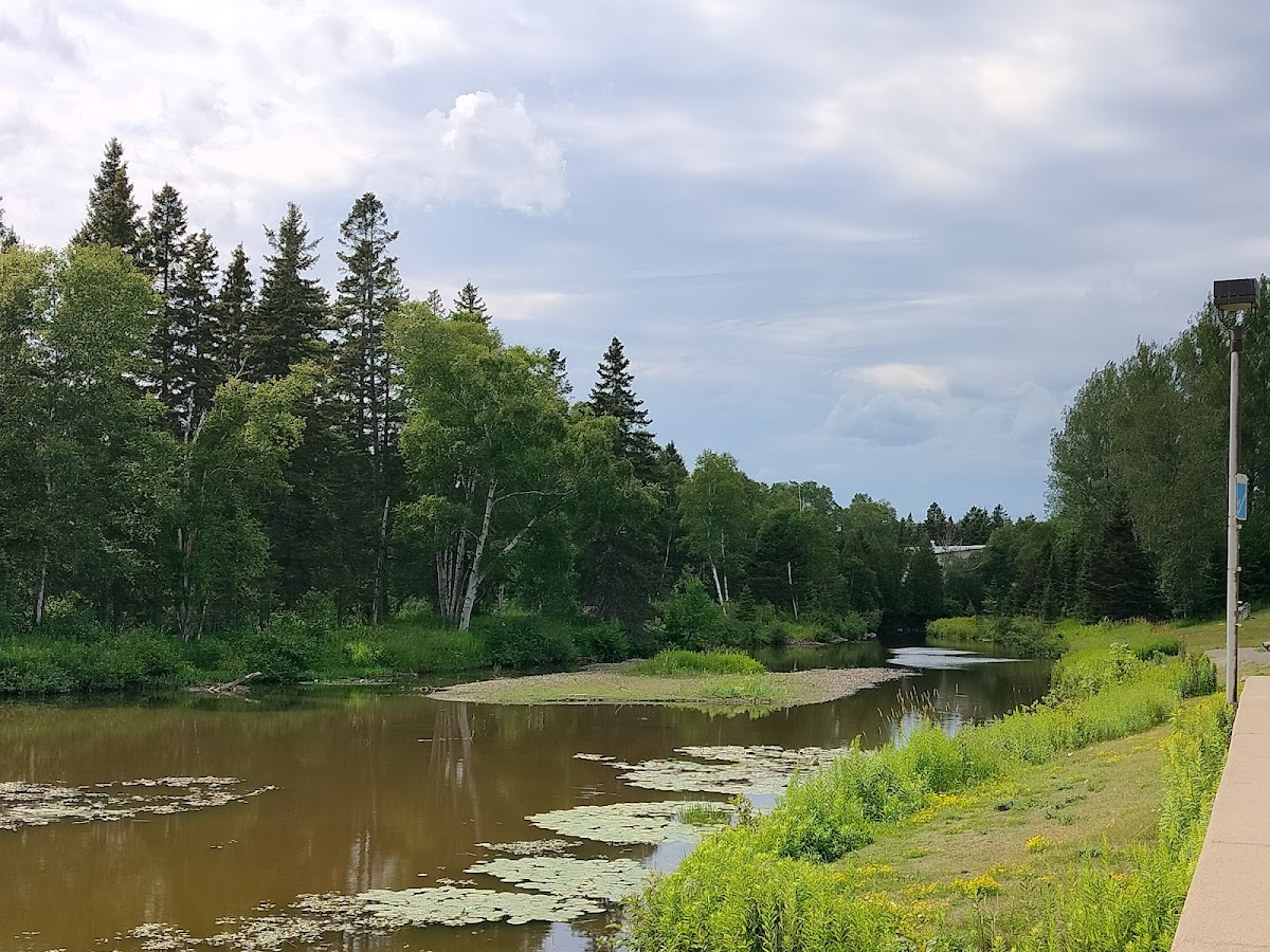 Lakehead University photo 5