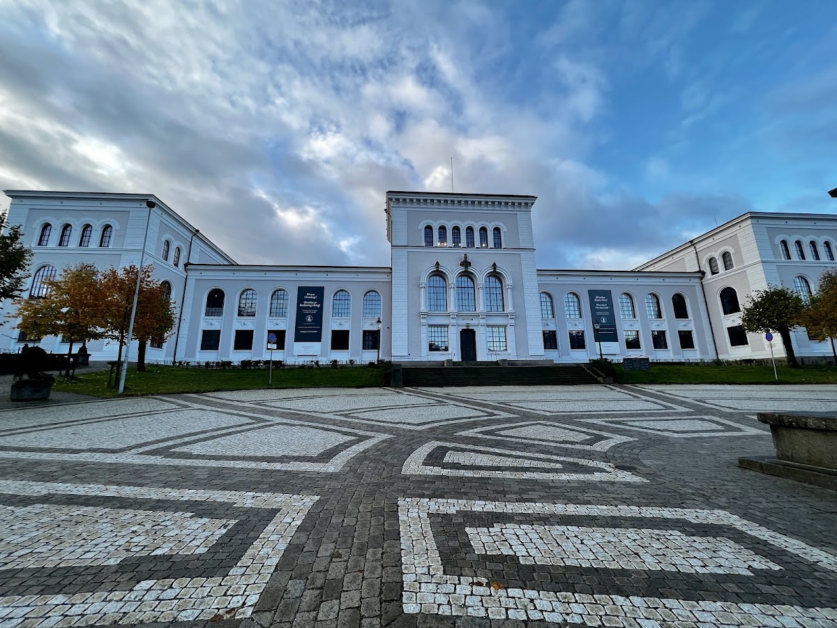 University of Bergen photo 4