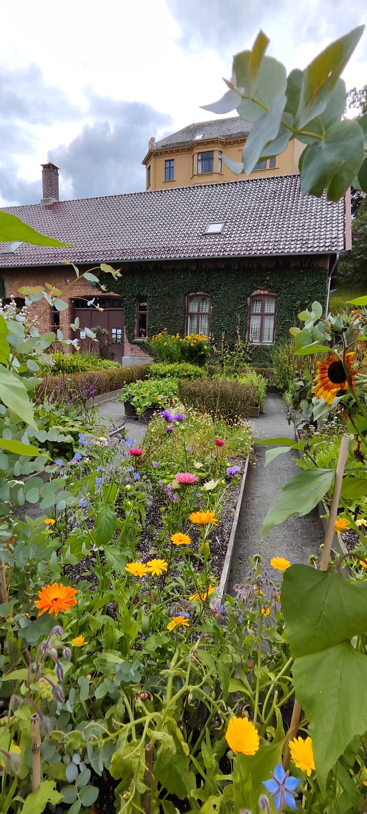 University of Bergen photo 9