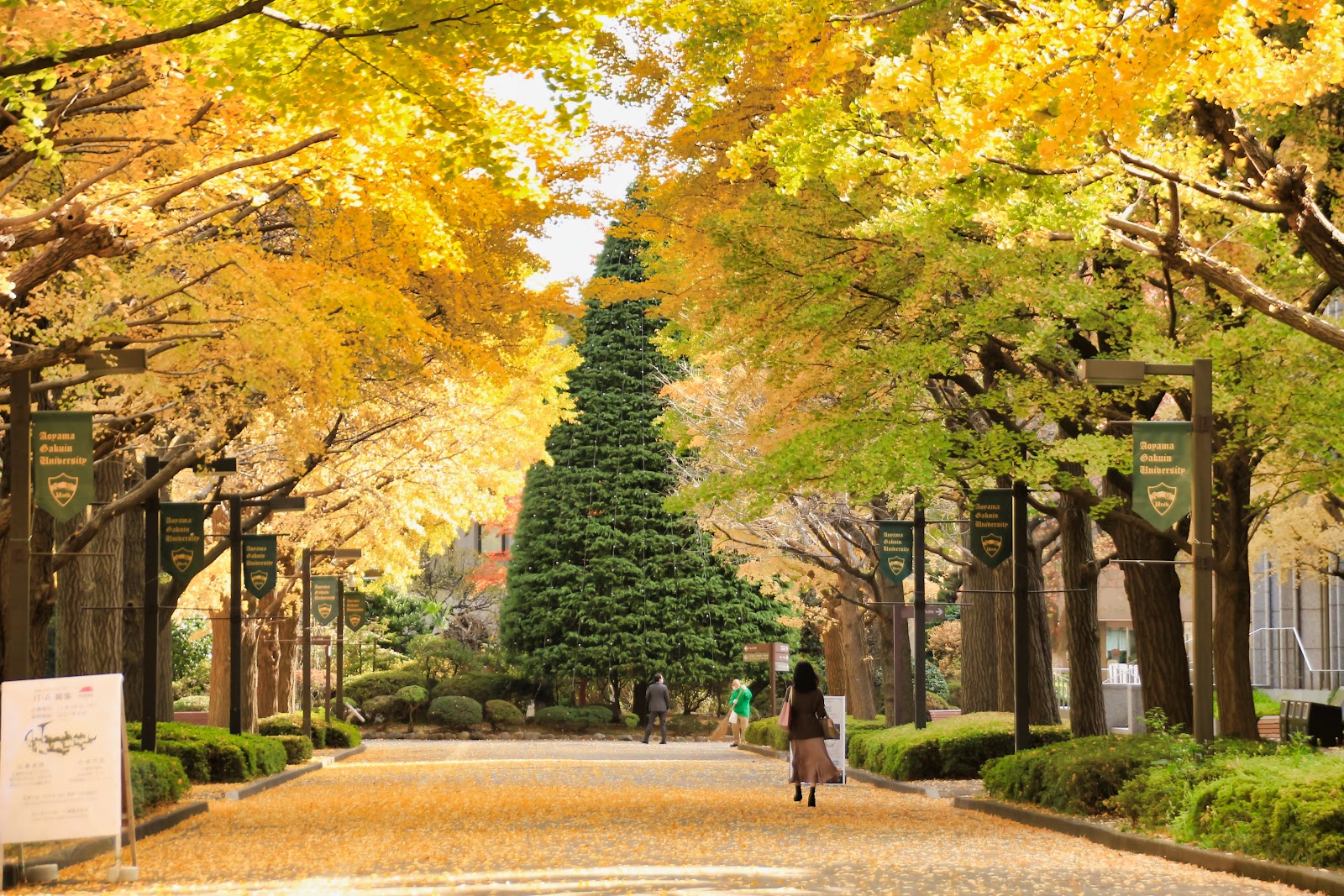 Aoyama Gakuin University campus