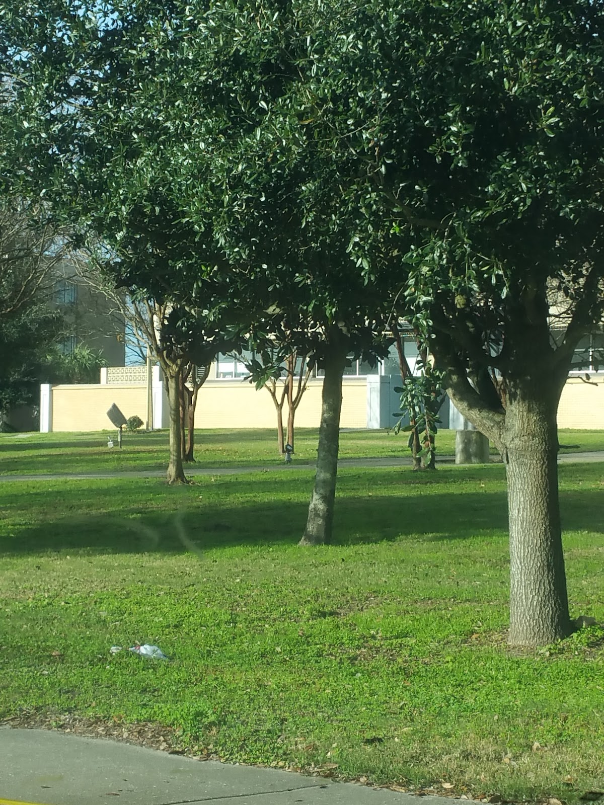 Southern University at New Orleans photo 6