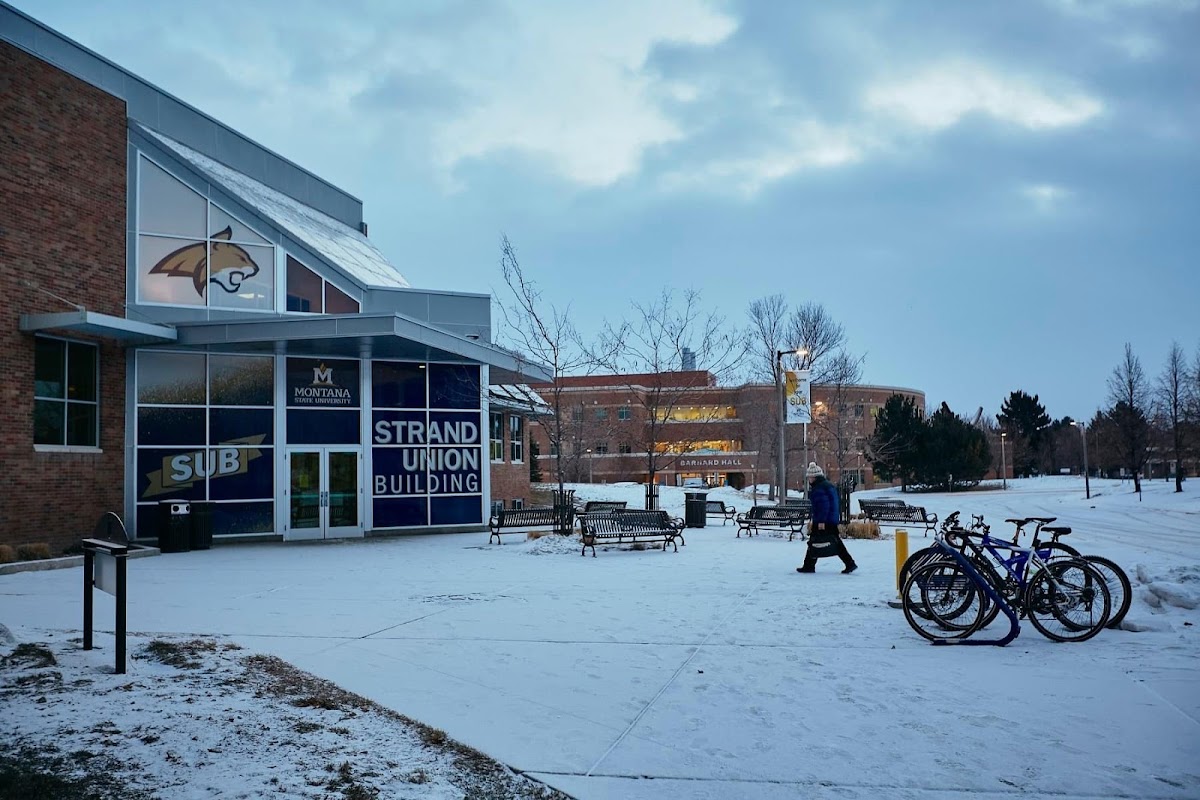 Montana State photo 3