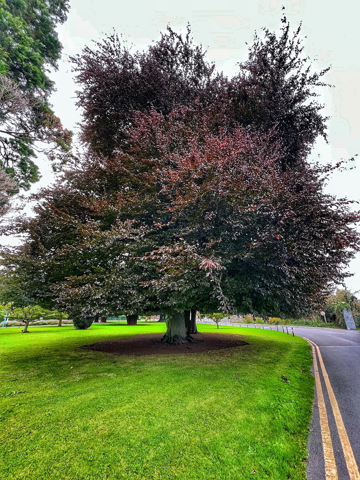 Pontifical University, St Patrick's College photo 9
