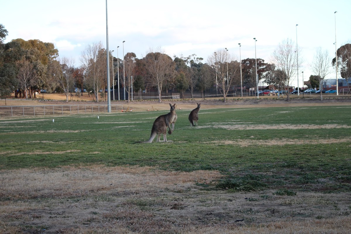 Charles Sturt University photo 7