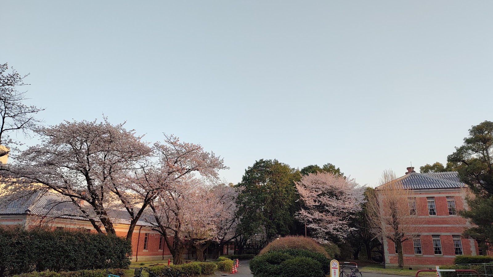 Kumamoto
