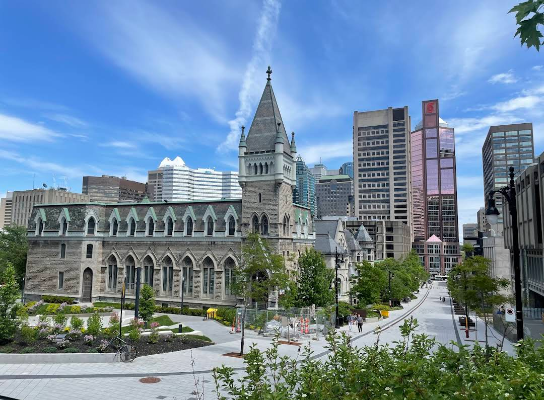 Université McGill photo 1