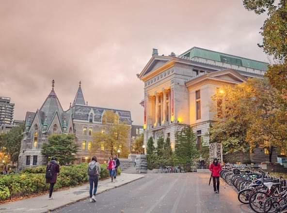 Université McGill photo 3