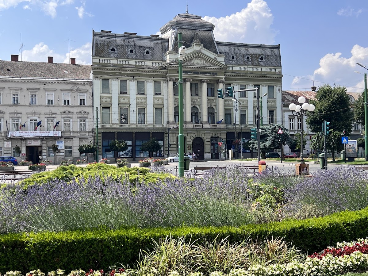 Aurel Vlaicu University of Arad photo 3