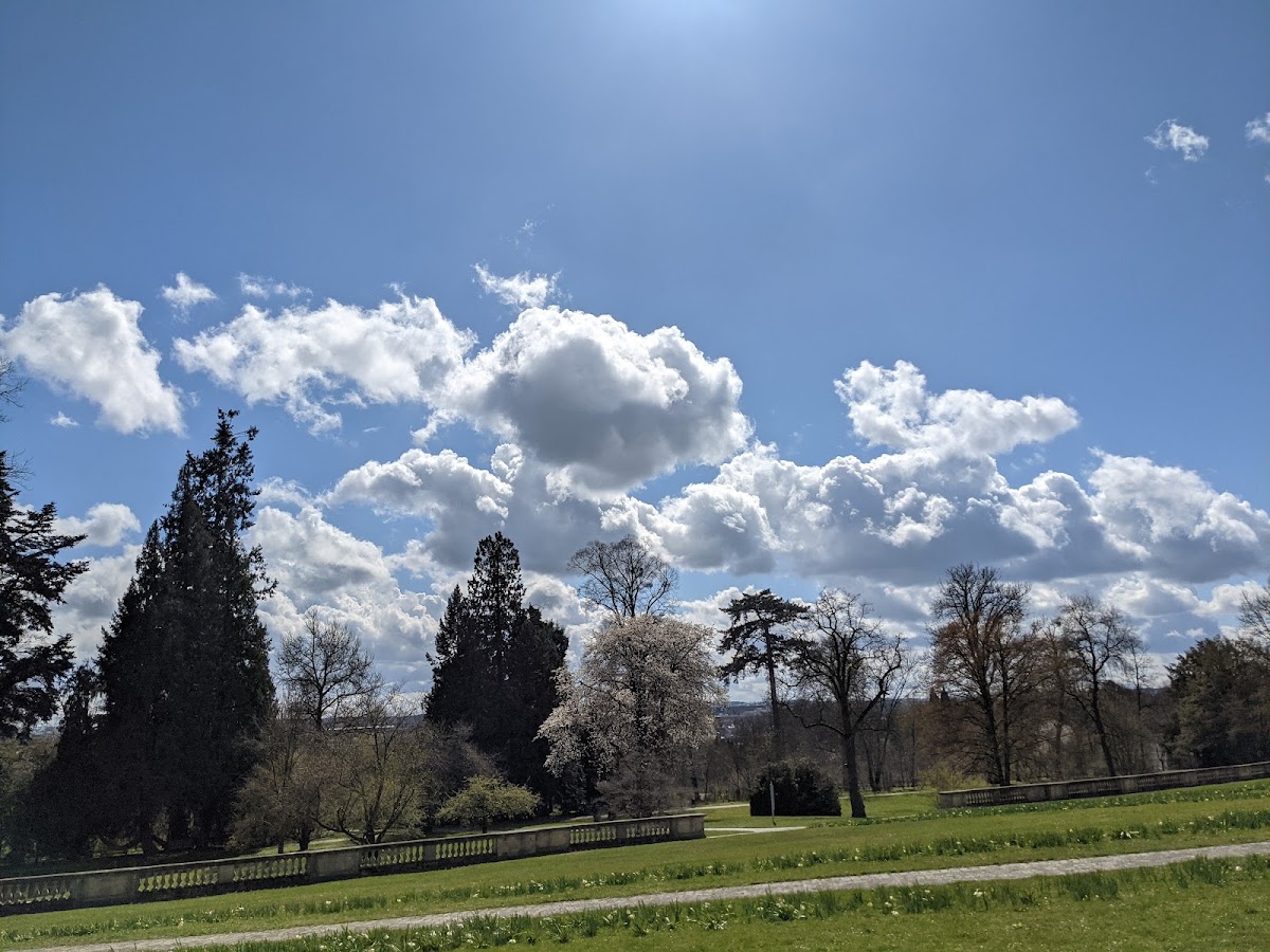University of Hohenheim photo 5