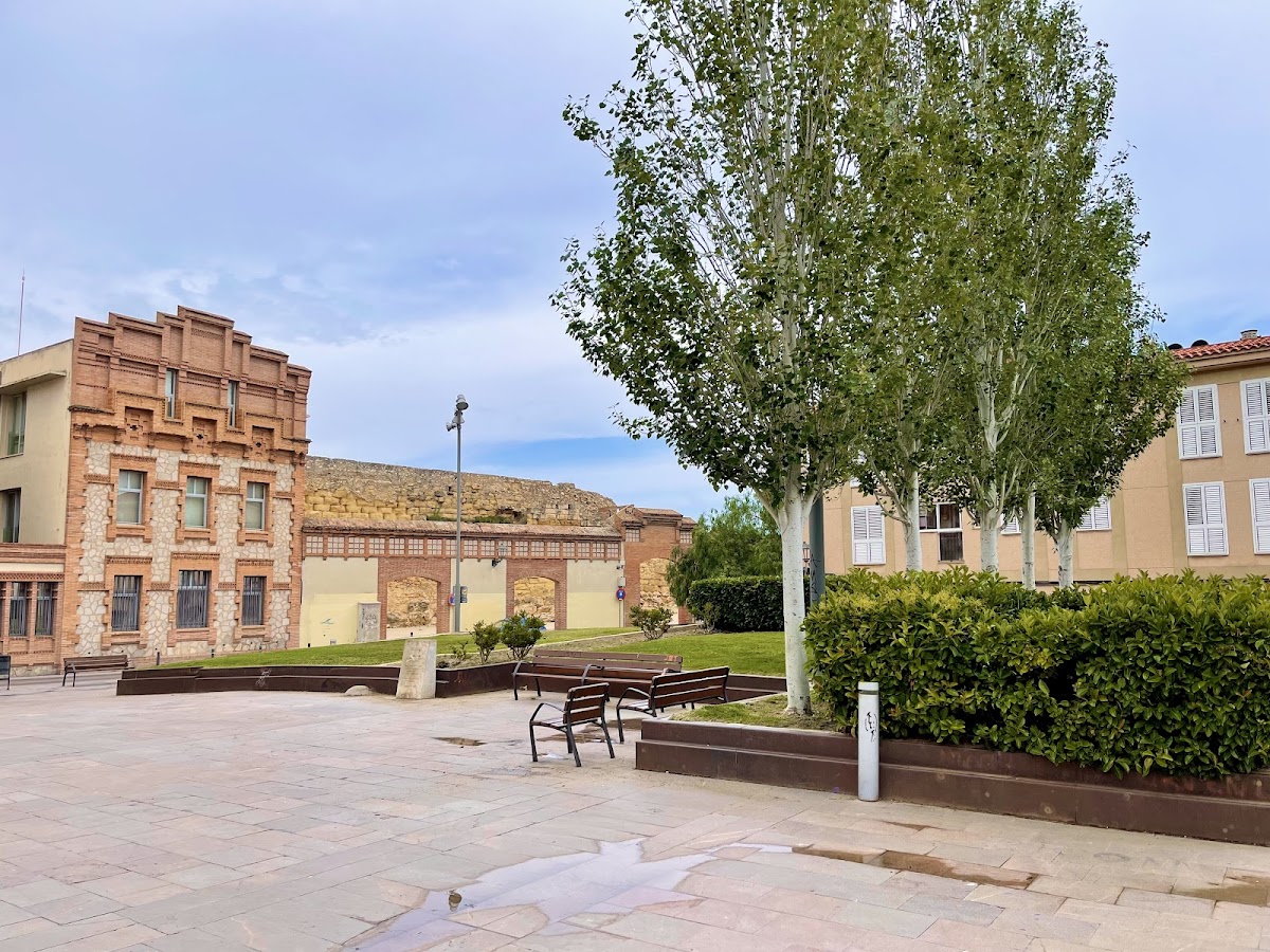 University of Rovira i Virgili photo 6