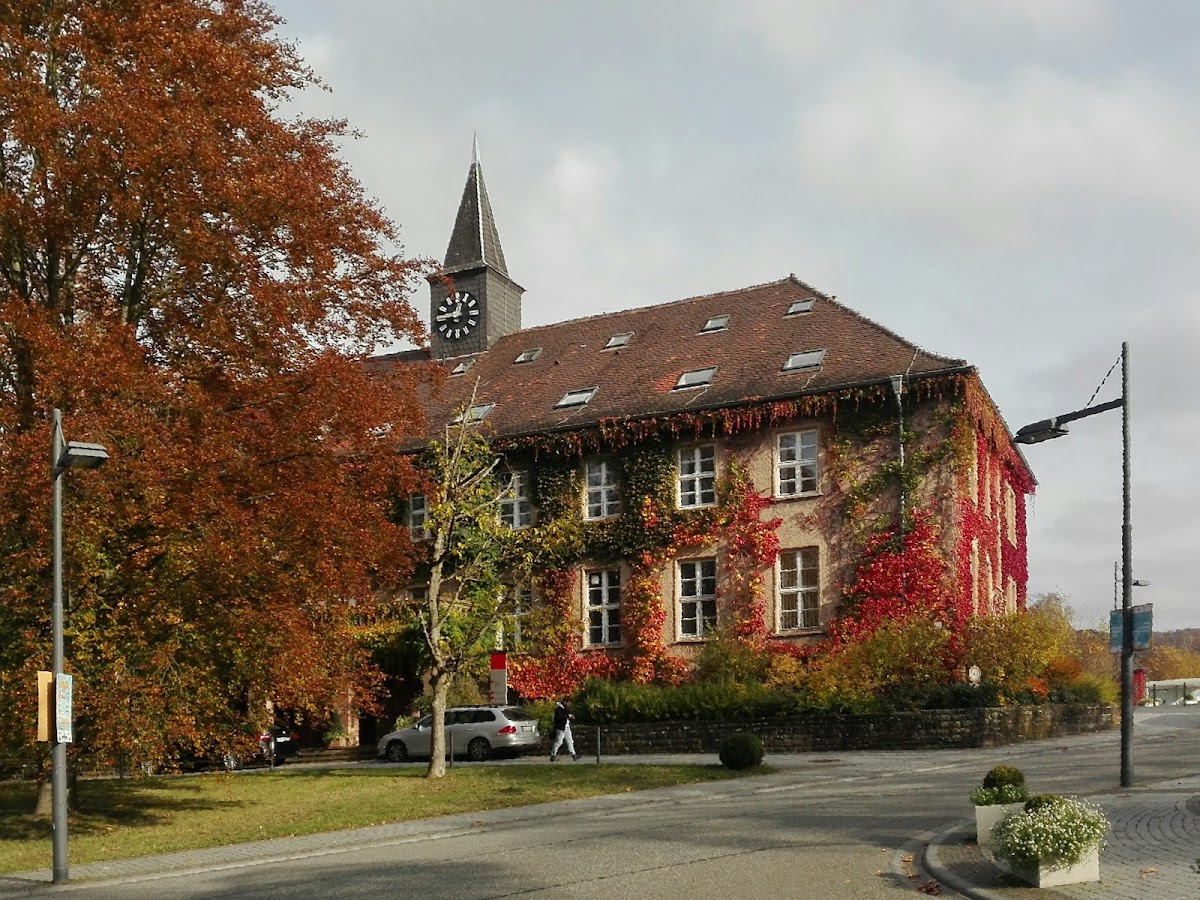 Universität Saarland photo 6