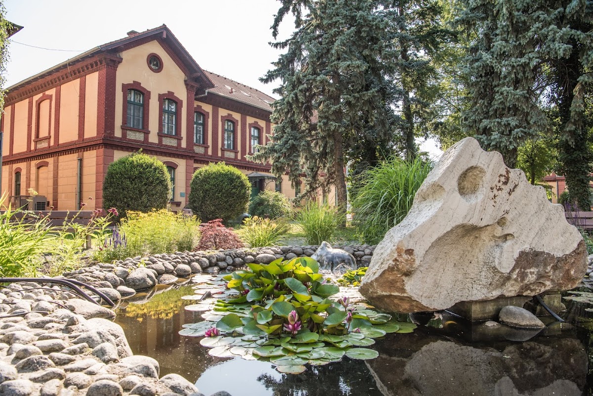 University of Veterinary Medicine and Pharmacy in Košice photo 6