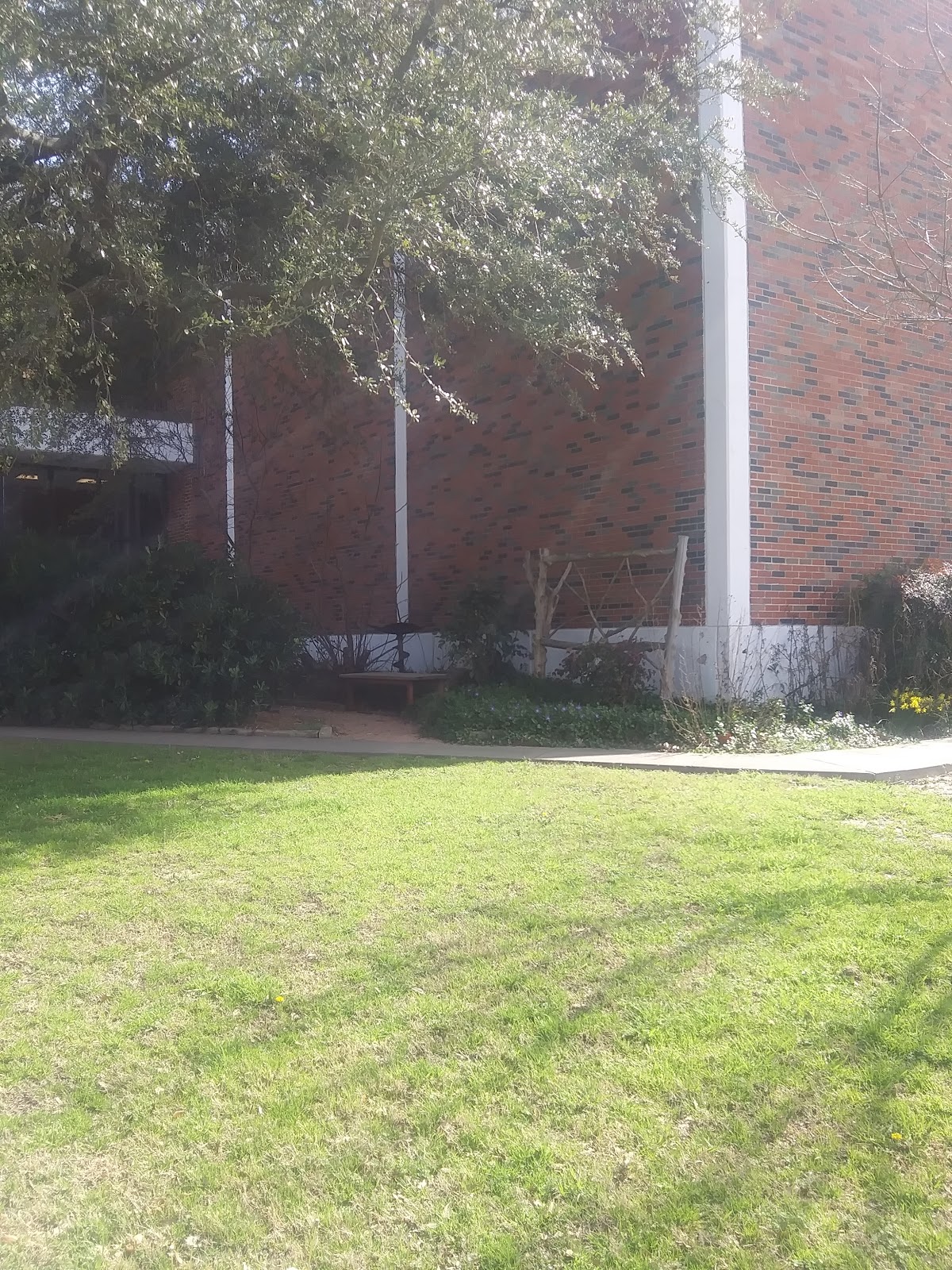 Texas A&M Commerce photo 9