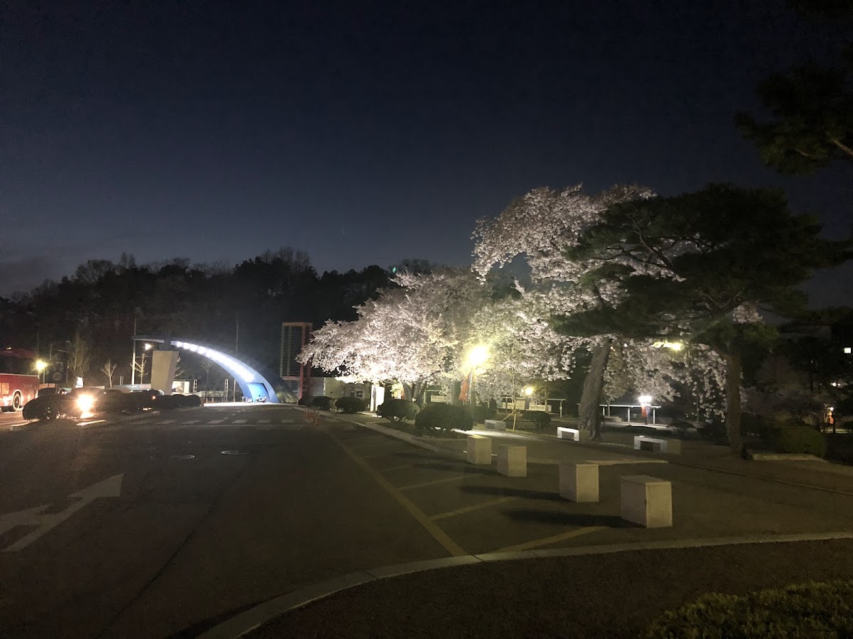 Kyonggi University photo 2