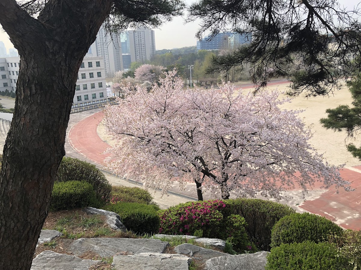 Kyonggi University photo 6