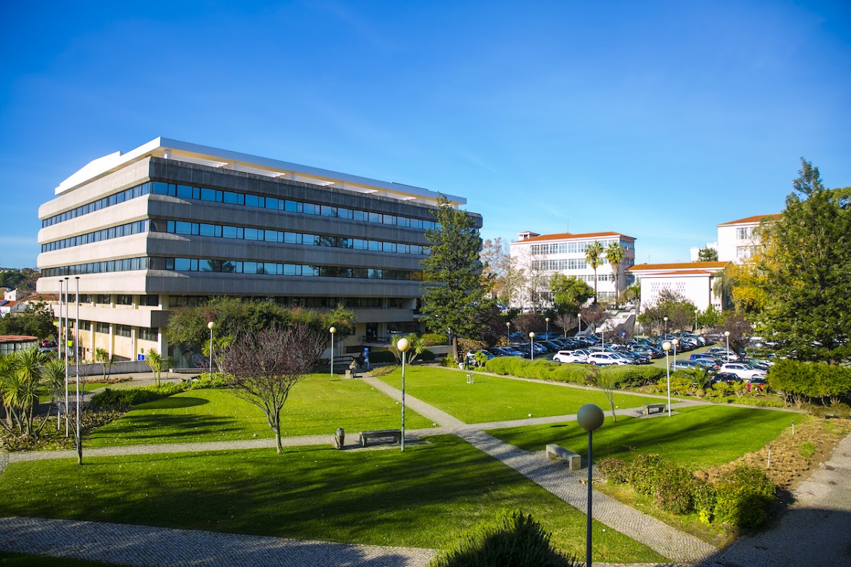 Catholic University of Portugal photo 2
