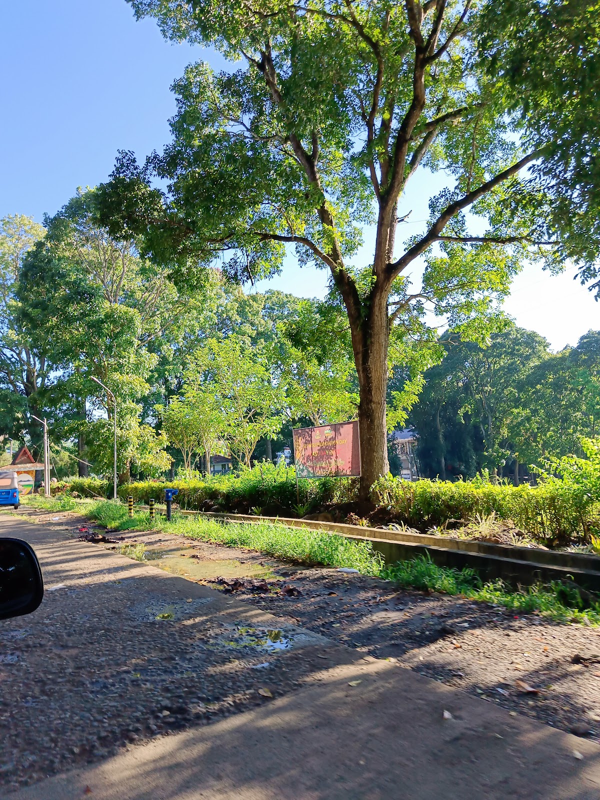 Mindanao State University - Marawi photo 5