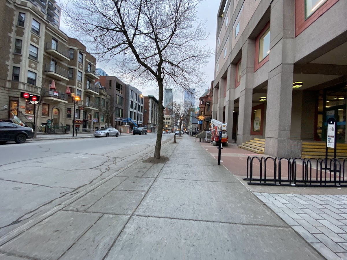 Concordia University photo 6