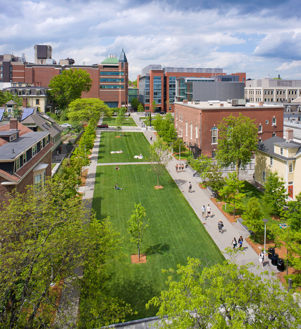 Brown University photo 8
