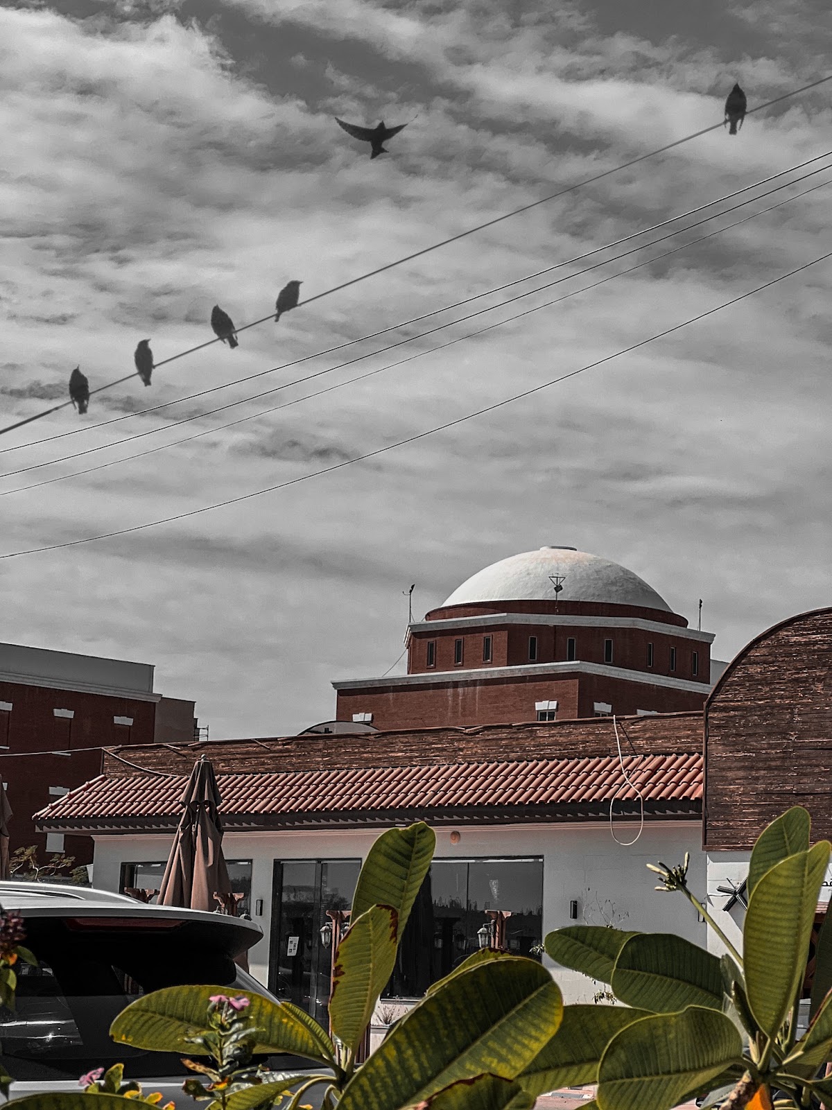 Batterjee Medical College photo 8