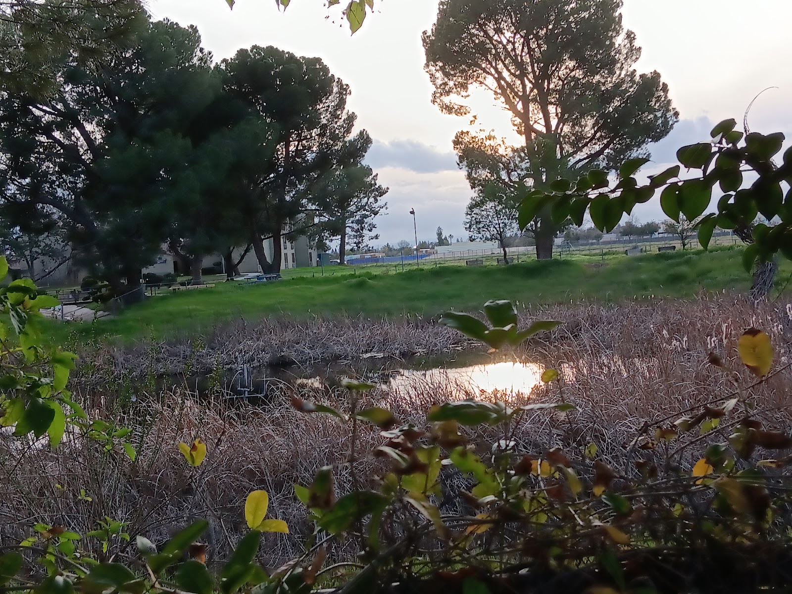 Bakersfield