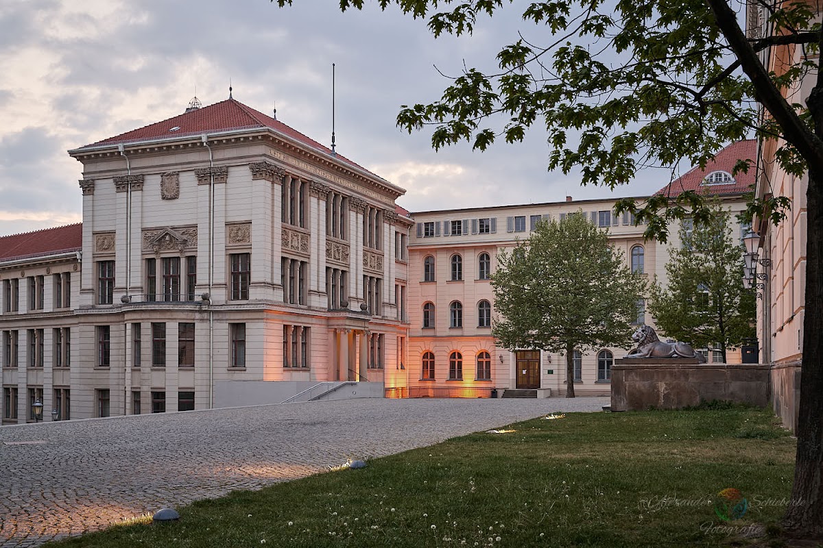 Martin Luther University Halle-Wittenberg photo 2