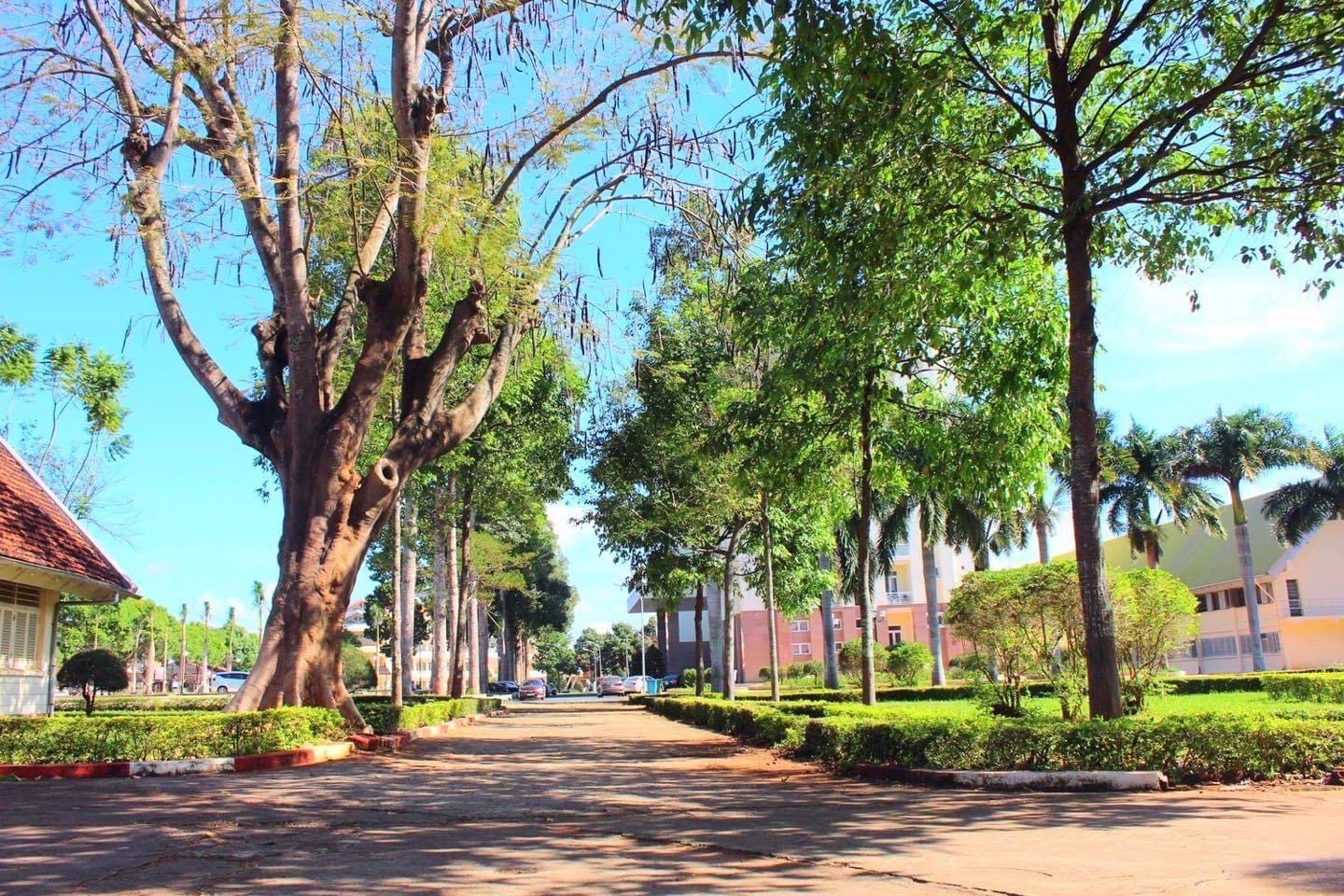 Buon Ma Thuot