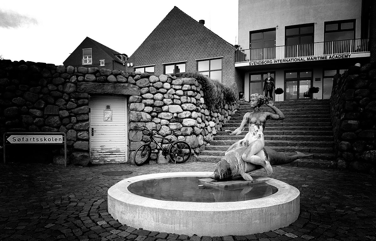 Maritime Academy Denmark photo 2