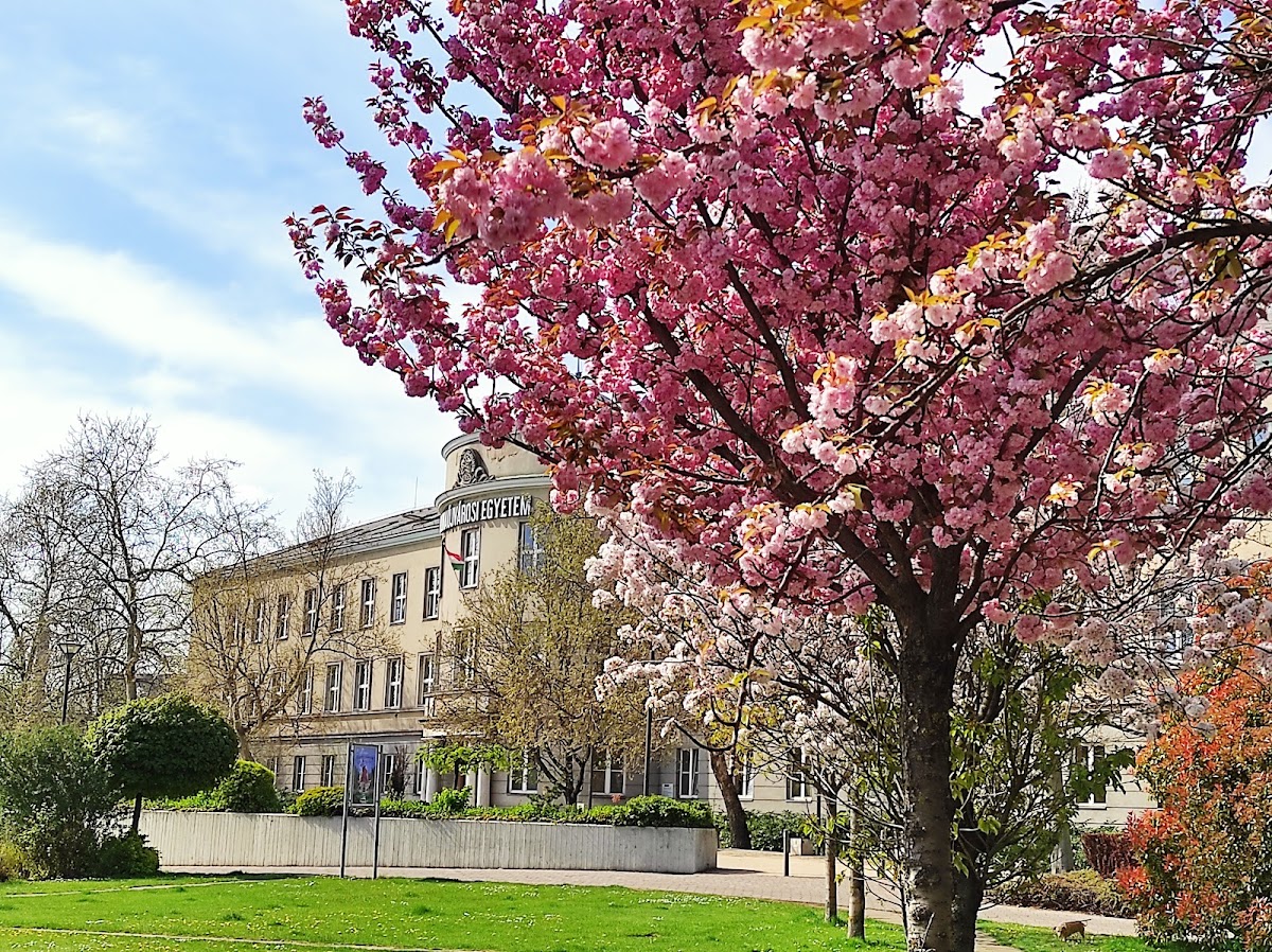 Dunaújváros University photo 4
