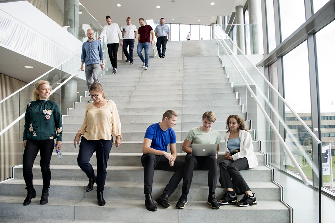 International Business Academy (IBA) Kolding photo 3