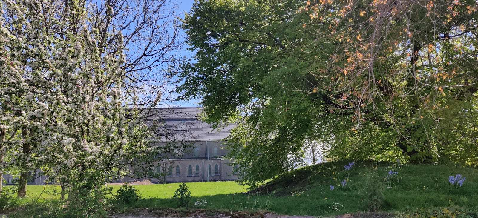 Galway-Mayo Institute of Technology