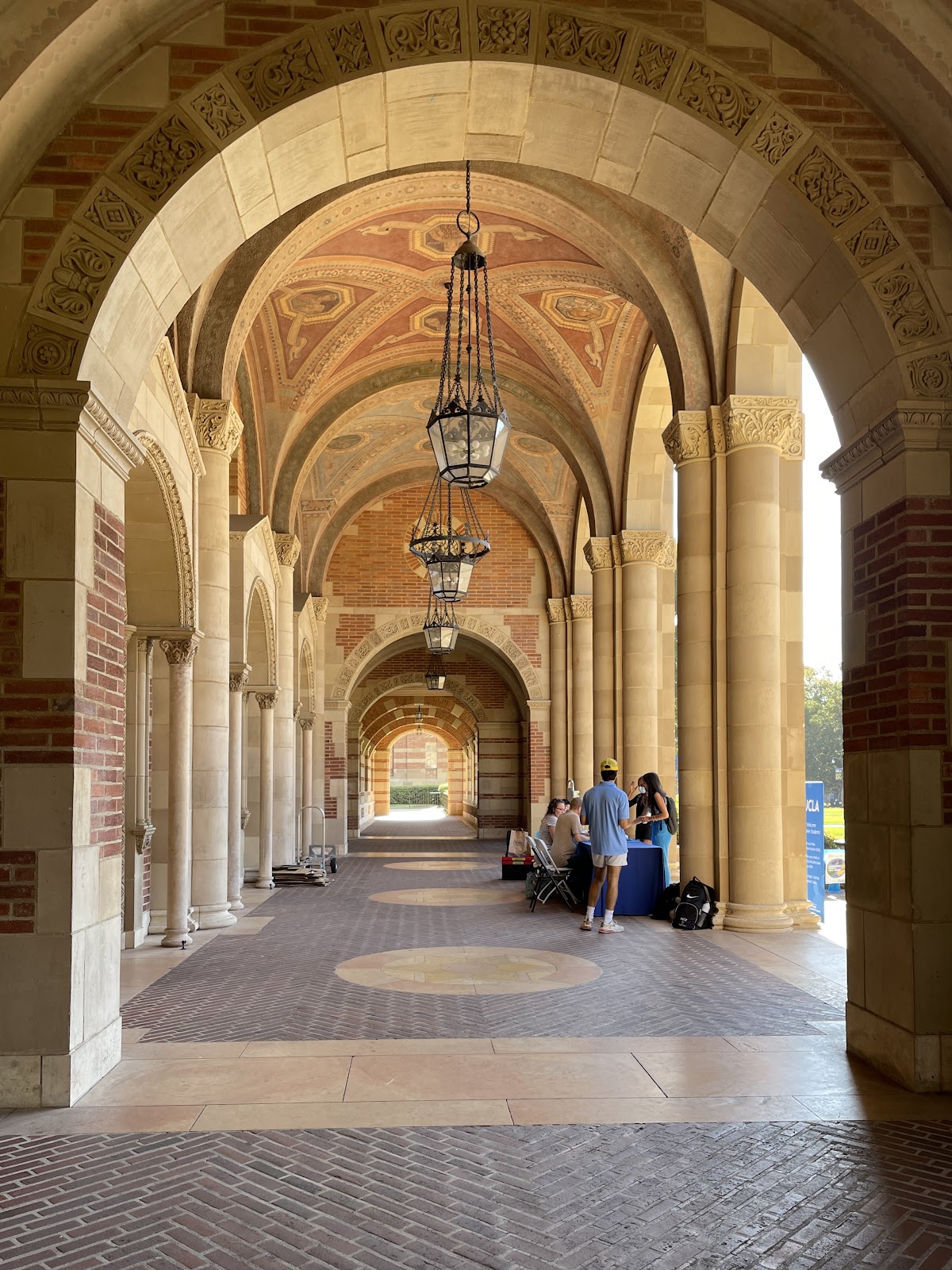 University_1185 photo 9
