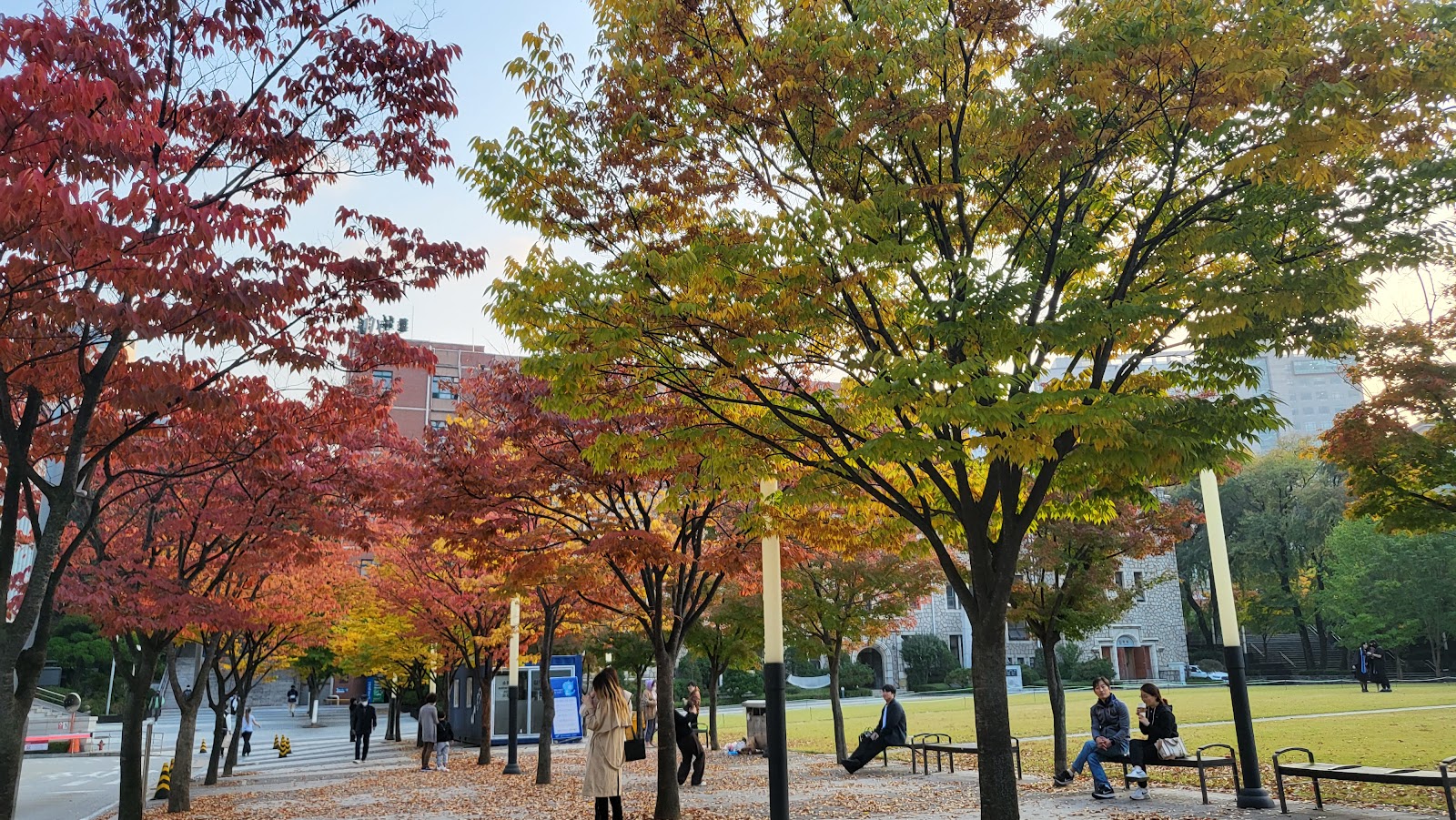 Chung-Ang University campus