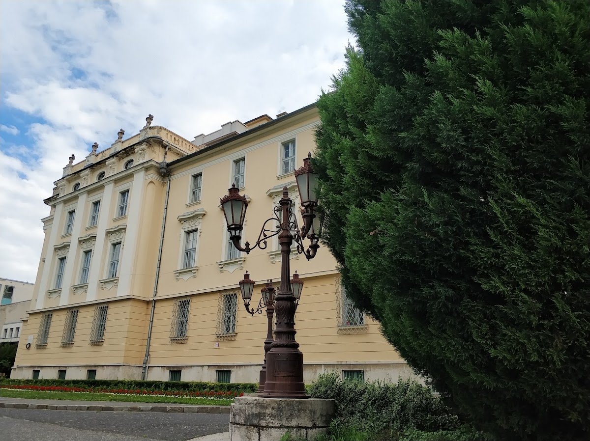 Szent István University photo 3