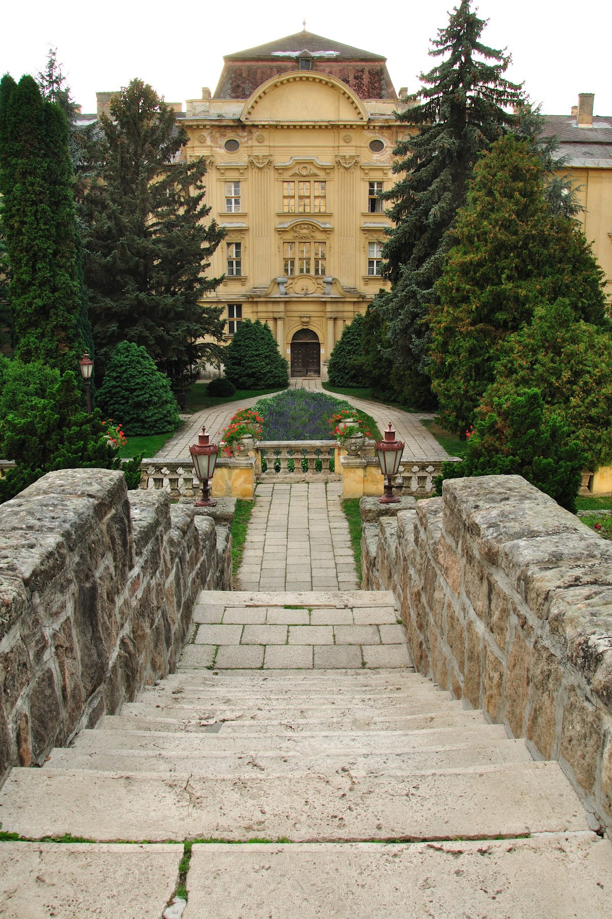 Szent István University photo 8
