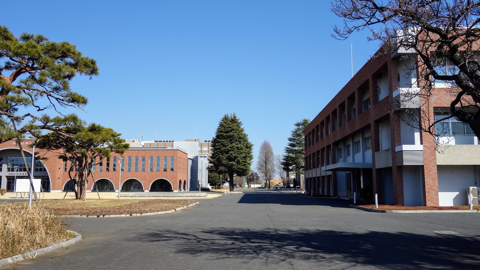 Mito