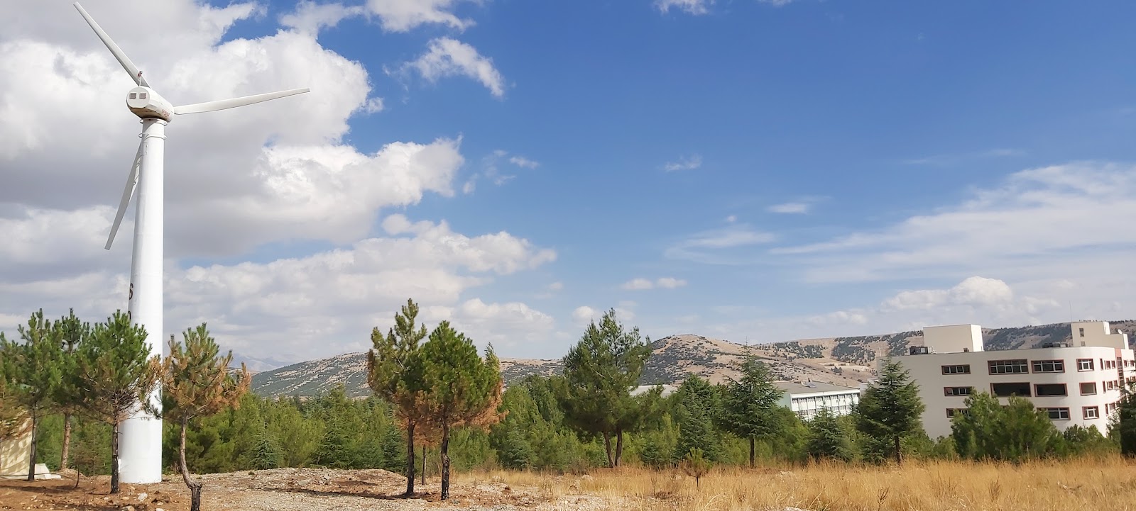 Isparta