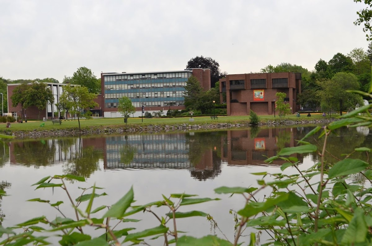 Fairleigh Dickinson University photo 4