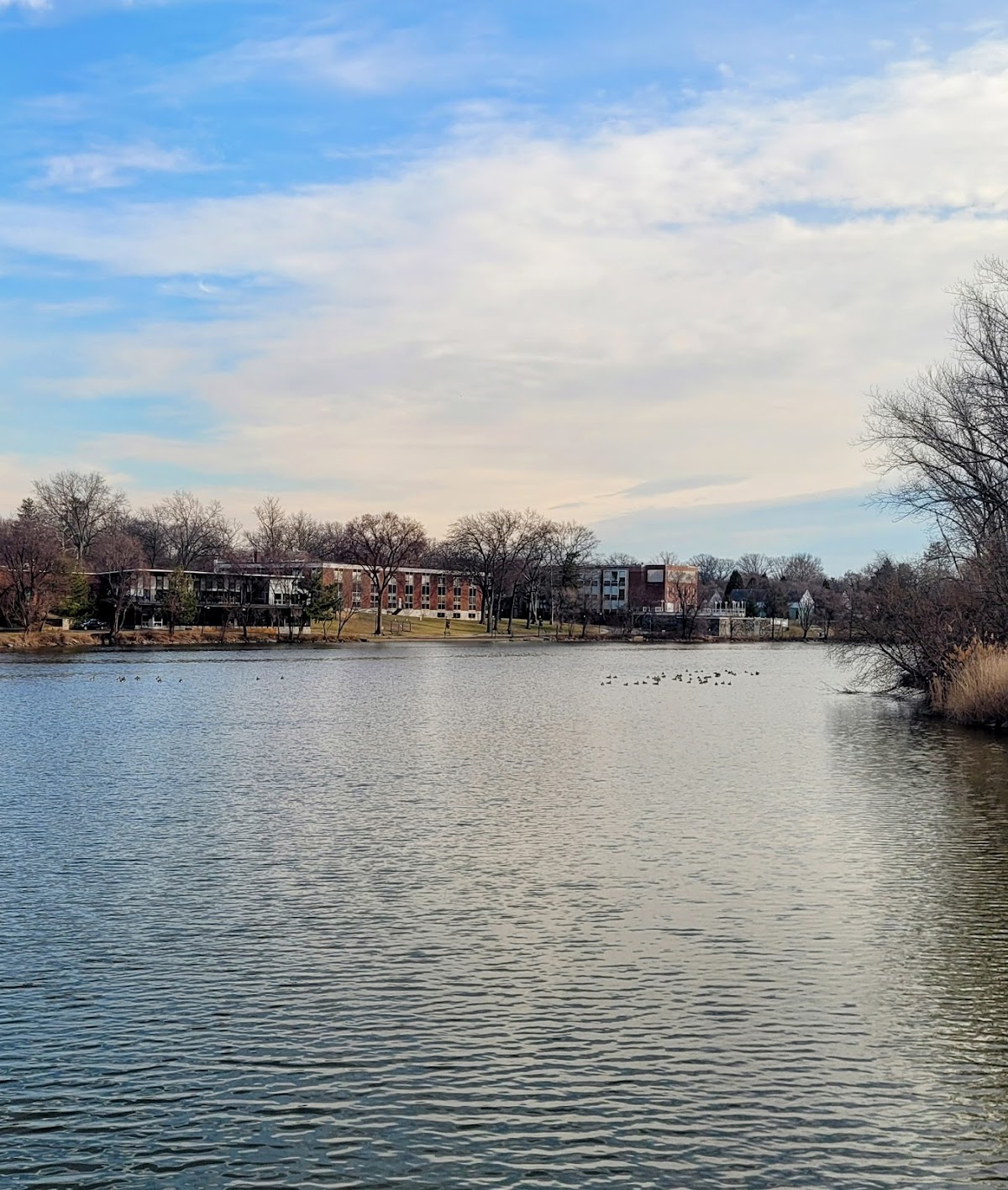Fairleigh Dickinson University photo 7