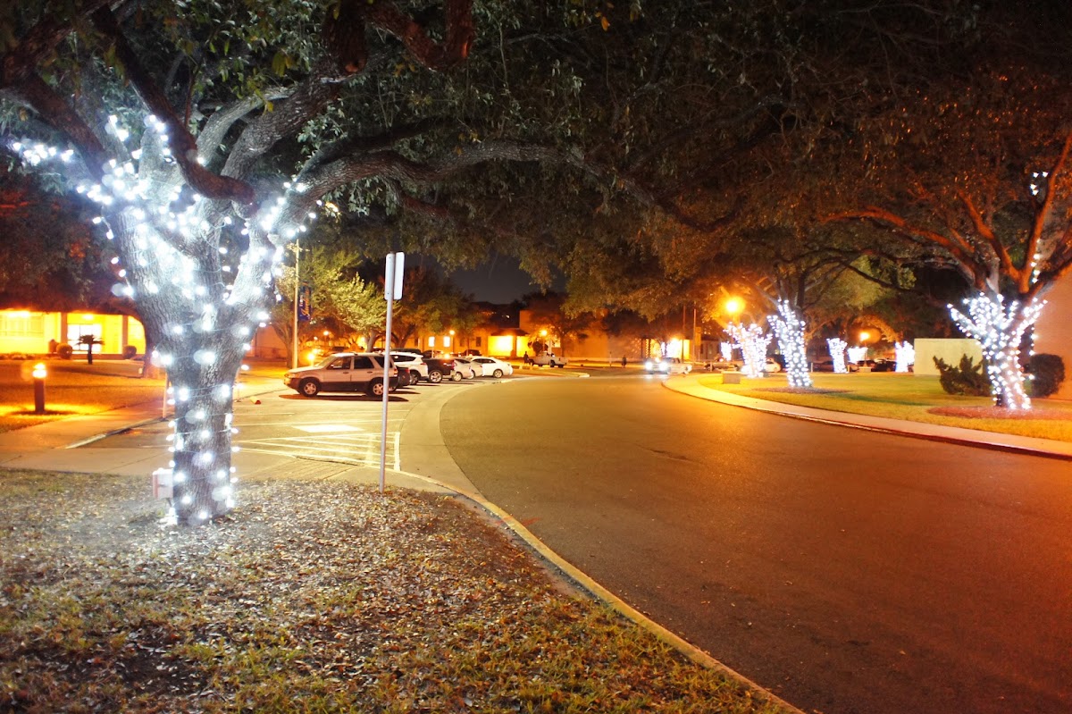 Texas A&M University-Kingsville photo 3