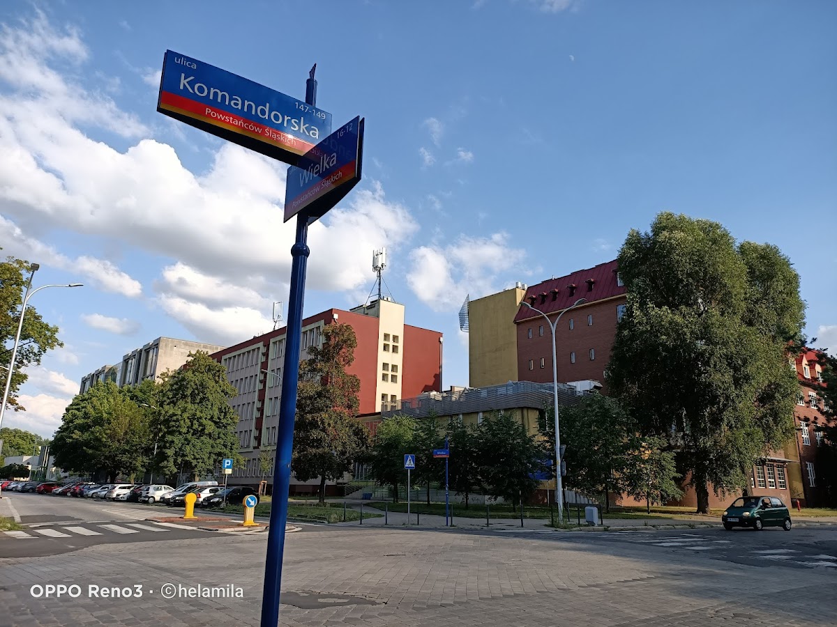University of Economics in Wrocław photo 6