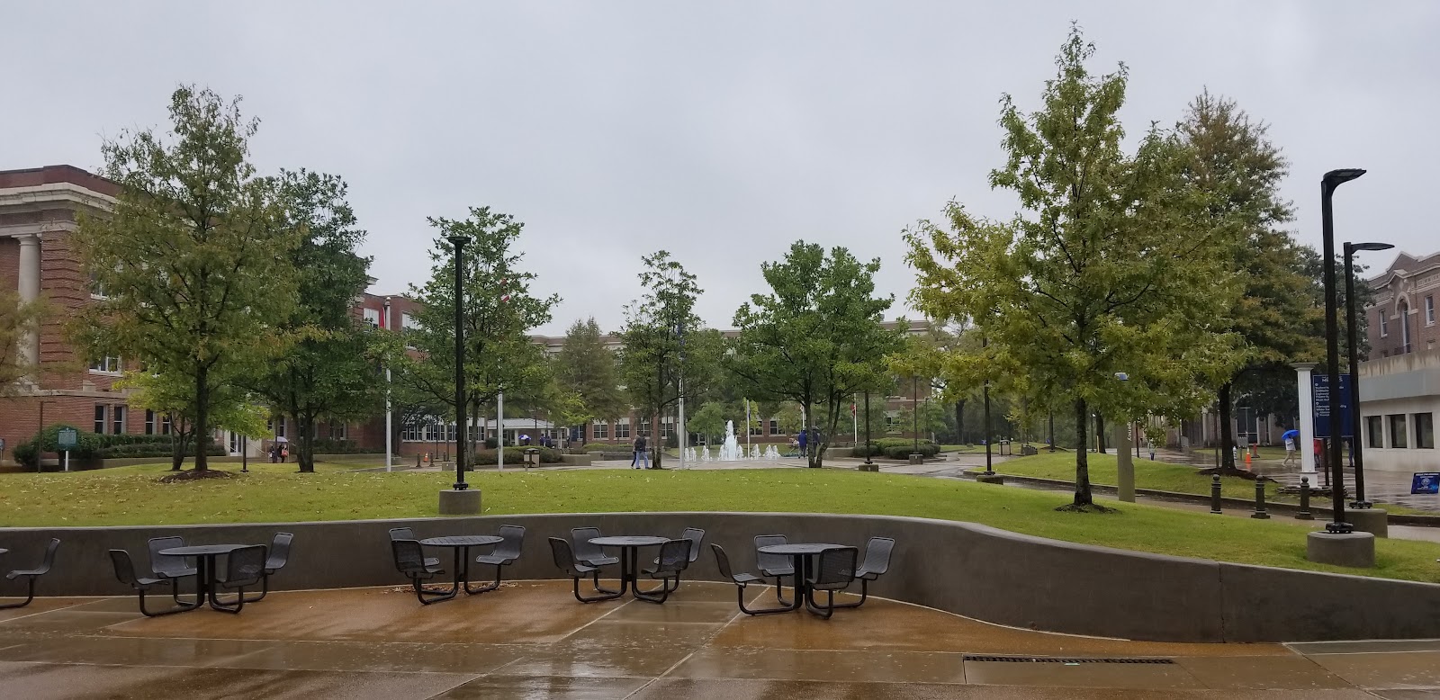 Memphis University