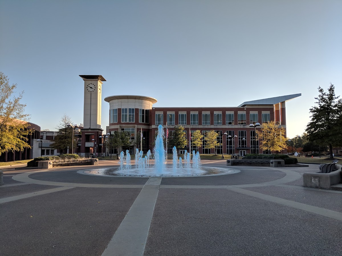 Memphis University photo 4