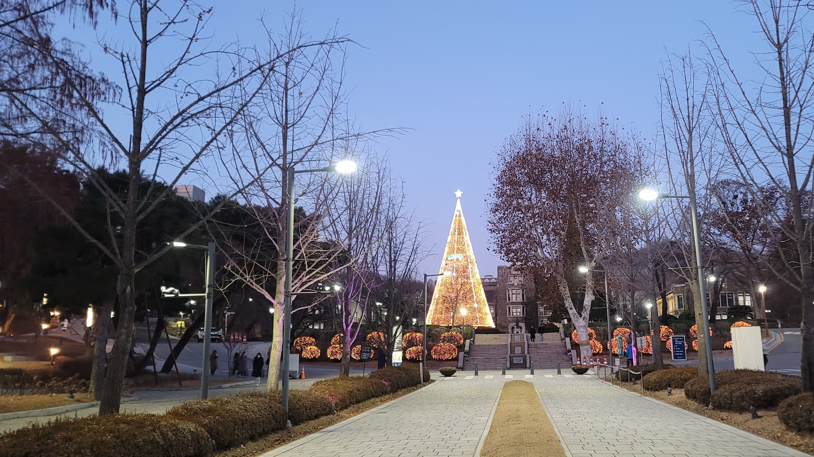 Yonsei University campus
