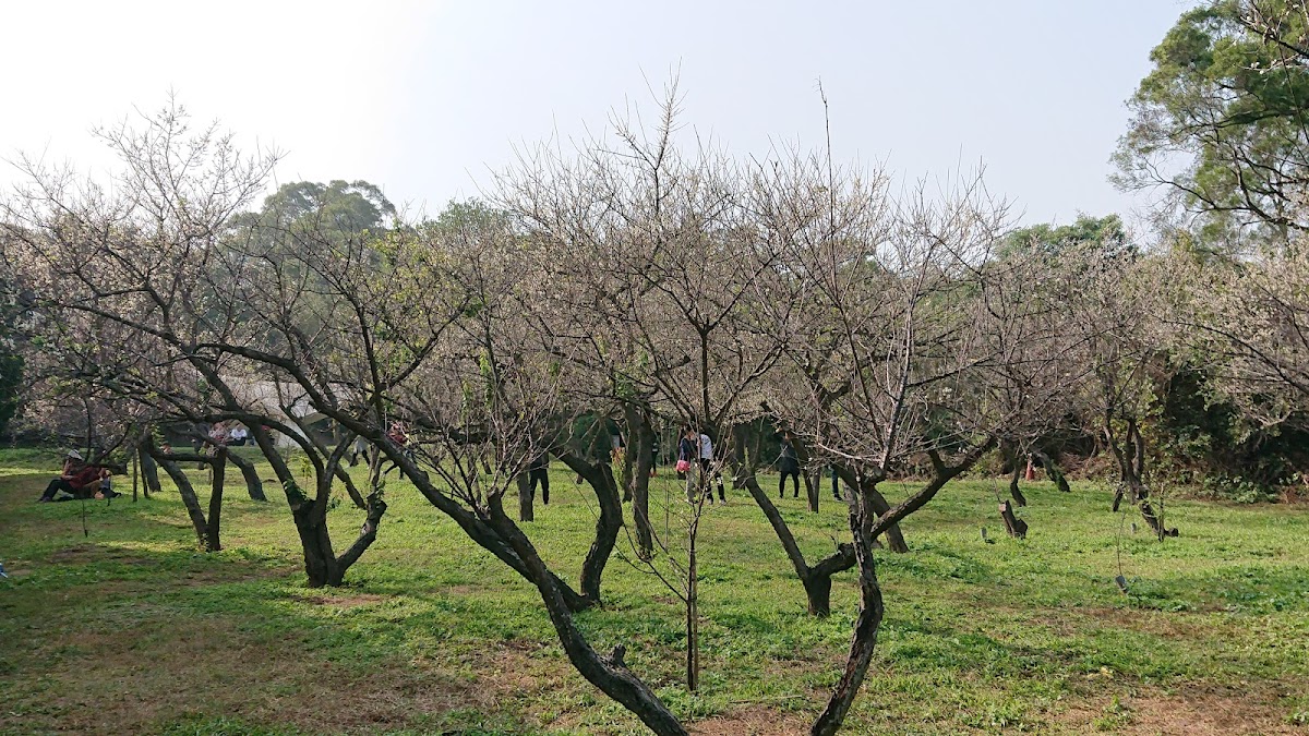 National Hsinchu University of Education photo 1