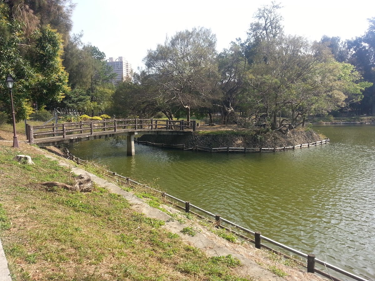 National Hsinchu University of Education photo 5