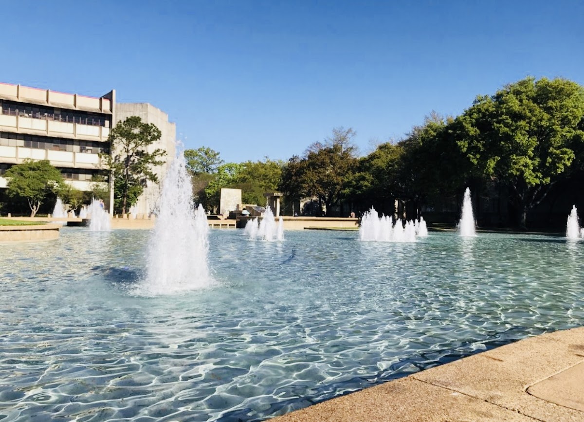 College of 2059 photo 5