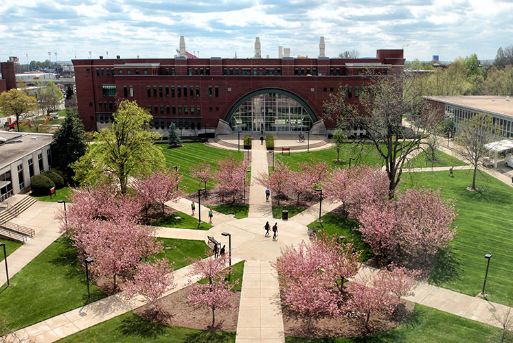 University of Louisville photo 3